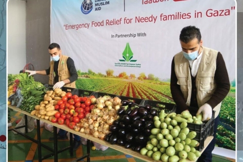 مجموعة غزة تبدأ بتنفيذ مشروع من صغار المزارعين الى الأسر المستورة في قطاع غزة
