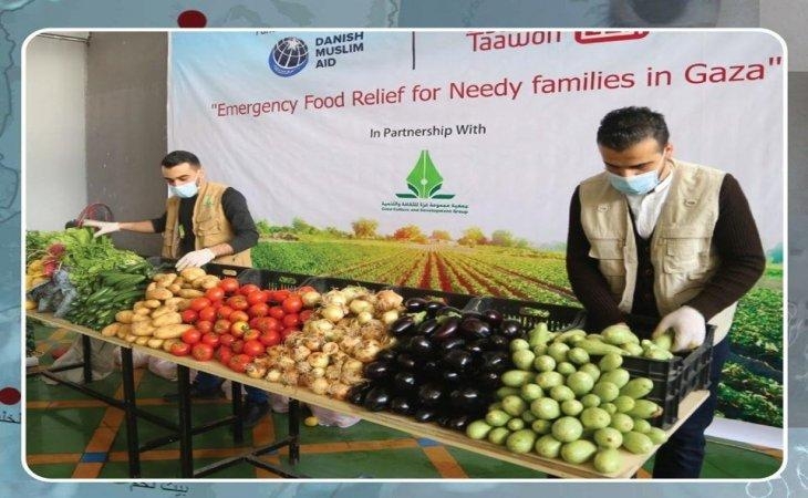 Gaza Group starts implementing from Small Farmers to Needy Families in the Gaza Strip